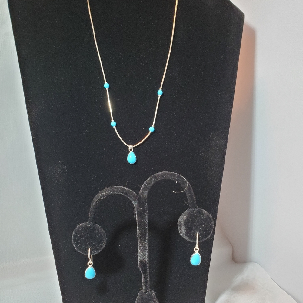 Nwot RARE Turquoise necklace & earring